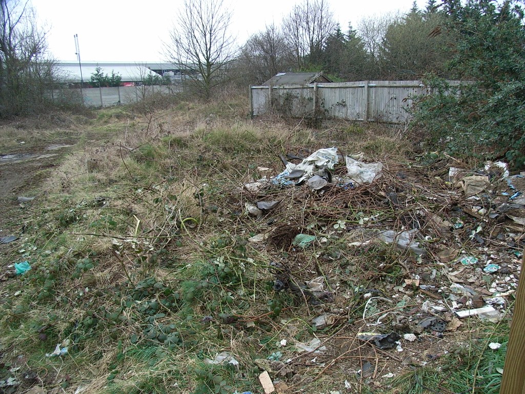 The site a couple of years ago. Thanks to the work of the volunteers, the site has drastically improved from this. 