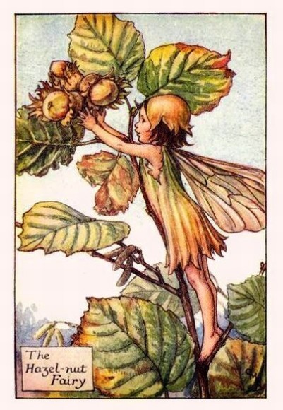 Hazel-Nut-Flower-Fairy