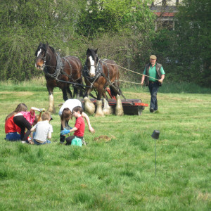 Apr-17-2019-Community-planting-Sutton-Common