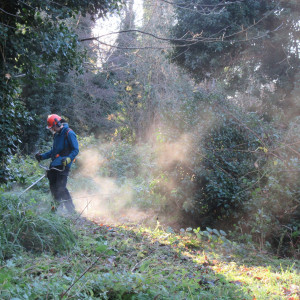 Dec-4-2018-Wandle-Valley-Wetland