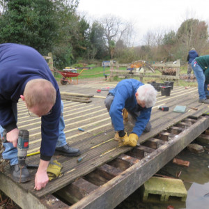 Jan-3-2019-Dismantling-pond-dipping-platform-Sutton-Ecology-Centre