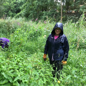Jul-18-2019-Carew-Manor-Wetland
