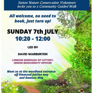Jul-7-2019-Guided-walk-Queen-Marys-Woodland