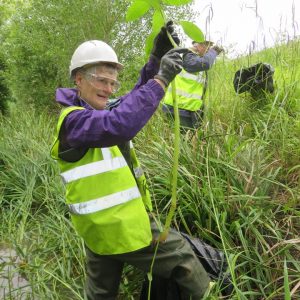 Jun-13-2019-Himalayan-Balsam-Beddington-Farmlands