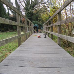 Nov-15-2018-Refurbished-bridge-Sutton-Ecology-Centre