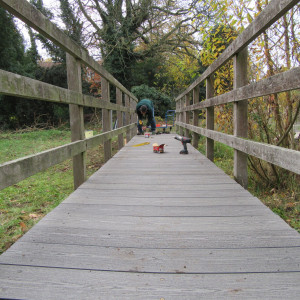 Nov-15-2018-Refurbished-bridge-Sutton-Ecology-Centre